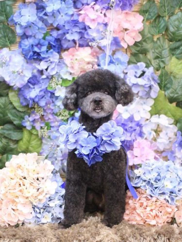 20250610コタロウくん